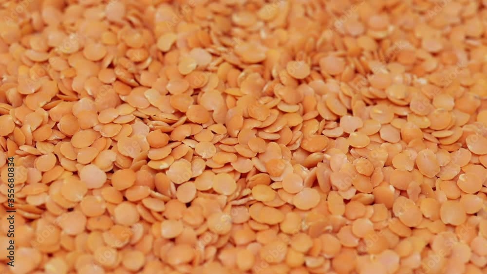 Red split lentil pulses slowly rotating, macro closeup with a shallow depth of field Red split lentil pulses slowly rotating, macro closeup with a shallow depth of field