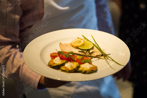 Fried zucchini rings served with fish on a white plate. Darkness in the room photo