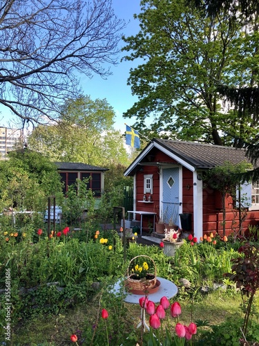 Cabin with flowers in a garden at Tanto, Stockholm, Sweden