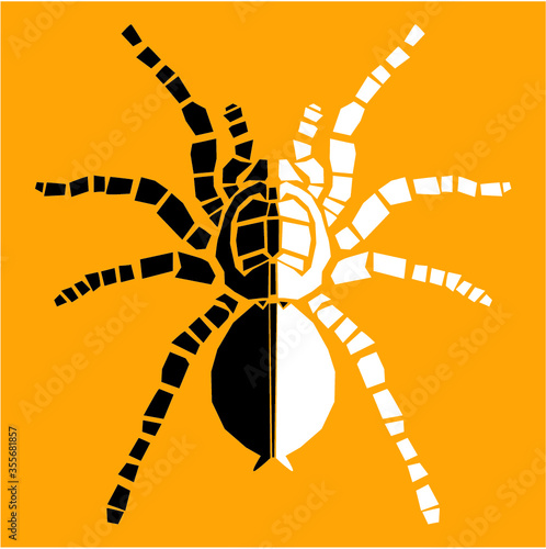 Tarantula spider, vector illustration