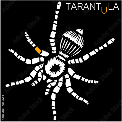 Tarantula spider, vector illustration