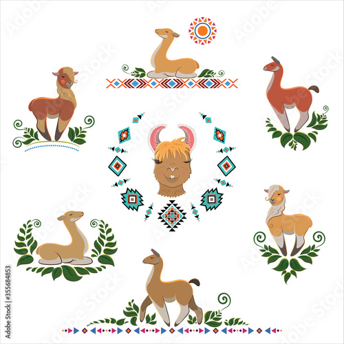 Fototapeta Naklejka Na Ścianę i Meble -  Alpaca Decoration of South America. Set for any kind of design.