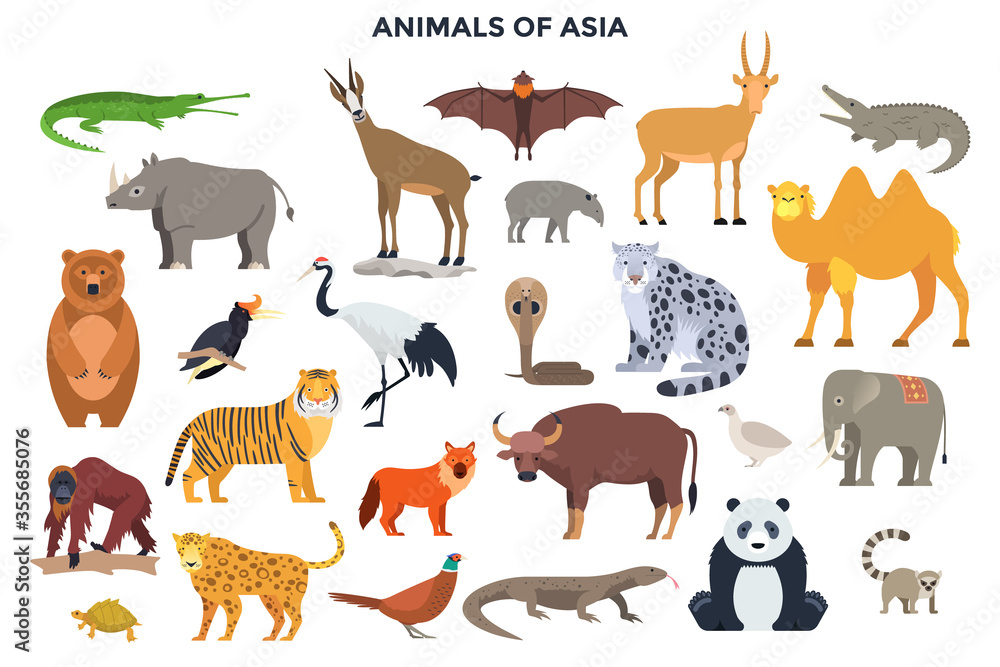 Fototapeta premium Modern Infographic Template