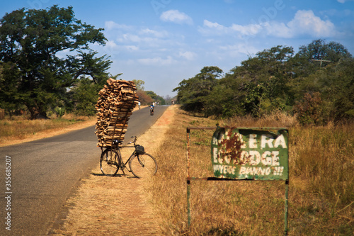 Canvas Print wood and bicycle by the road