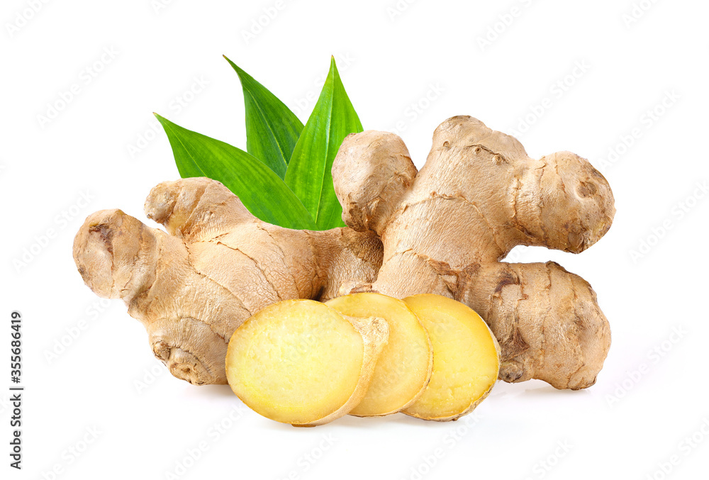 ginger on white background. depth of field ginger on white background. depth of field