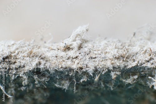 Fotografie Detailed photography of constructional material with asbestos fibres