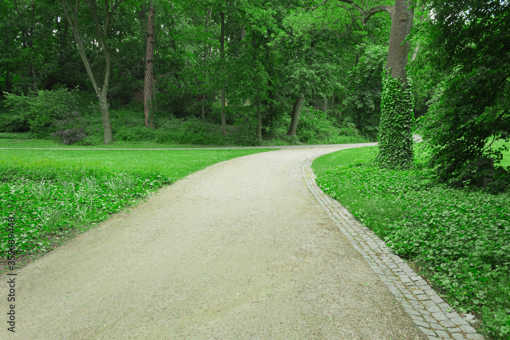 Paving stones in a city park