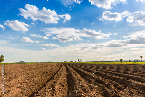 Фотография Rows of soil before planting