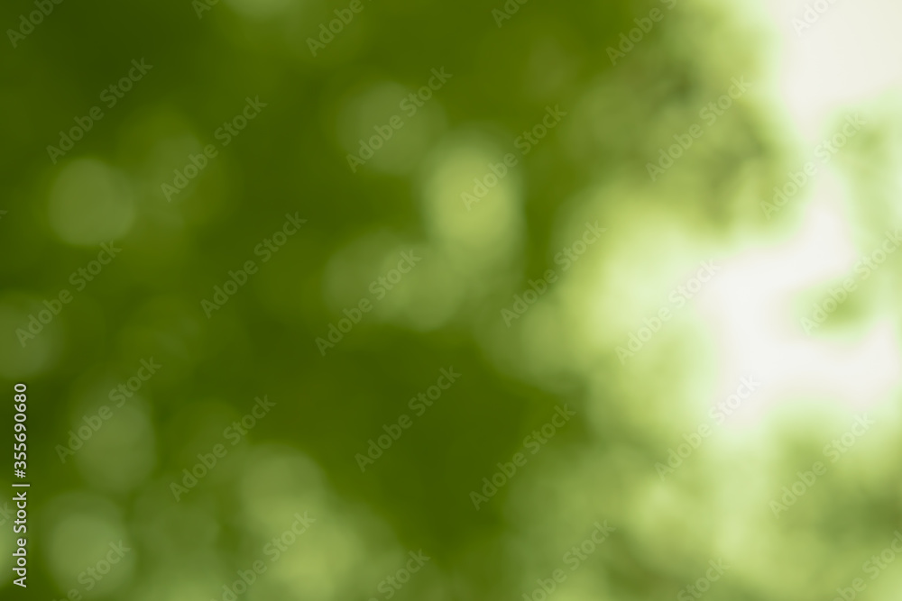 Abstract green bokeh defocused natural background Abstract green bokeh defocused natural background