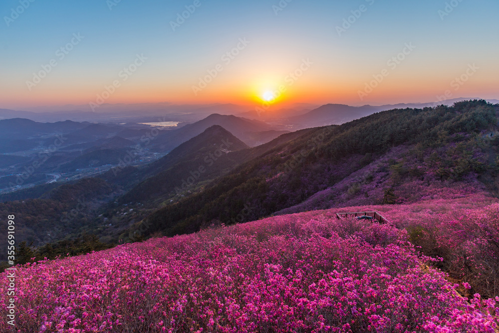 Obraz premium The sun is rising on a mountain full of flowers. 