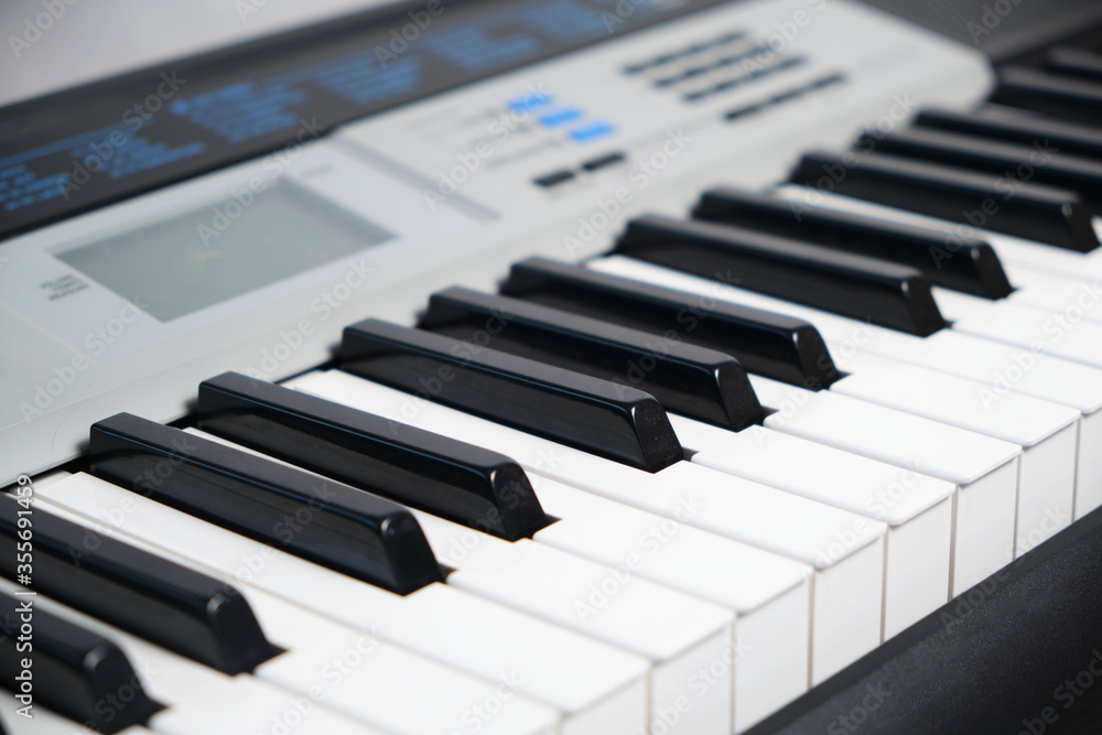 Keys and control panel of the music synthesizer. Keys and control panel of the music synthesizer.