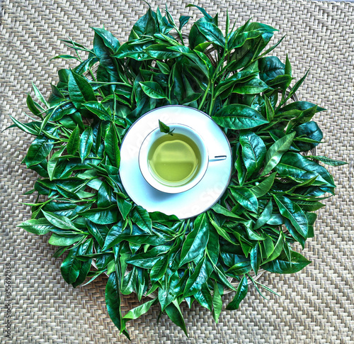 Ceylon tea is one of powerful brand in beverage industry. One of best hot drink beverage for Covid19. Green tea design is very colorful to entertain guest and customers. 