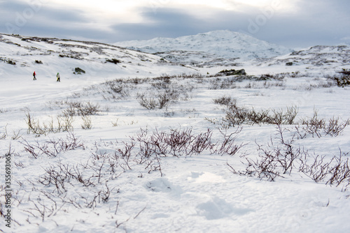 Wallpaper Mural Winterlandschaft in Norwegen Torontodigital.ca