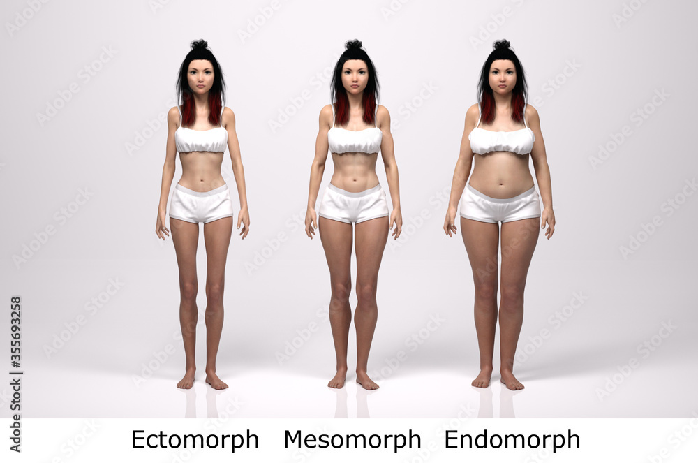 3D Render : standing female body type illustration : ectomorph (skinny type),  mesomorph (muscular type), endomorph(heavy weight type), Front View Stock  Illustration