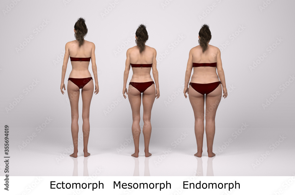 3D Render : standing female body type illustration : ectomorph (skinny type),  mesomorph (muscular type), endomorph(heavy weight type), Back View Stock  Illustration