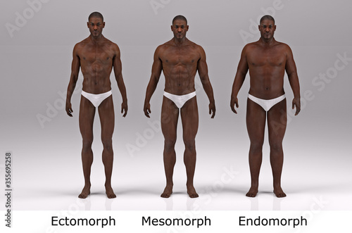 3D Render   the portrait of standing male body type   ectomorph  skinny type   mesomorph  muscular type   endomorph heavy weight type    Front View