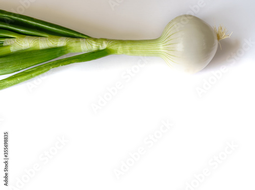 Large onion head with green leaves on a white background and copy space