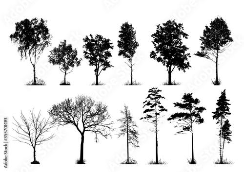 A set of silhouettes of trees. Vector illustration