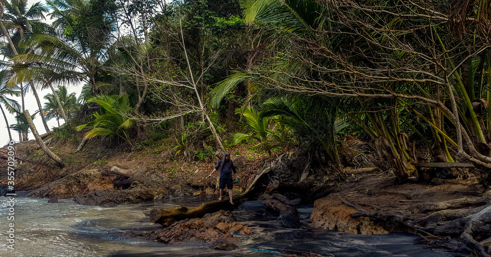 Fototapeta premium Caminhando na Mata Atlântica a Beira-Mar