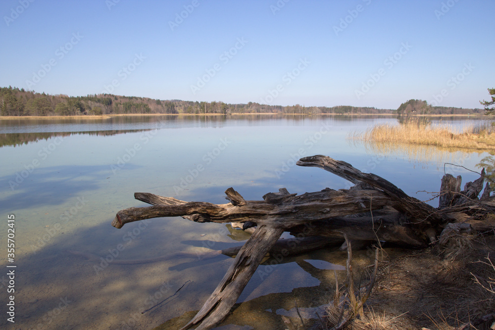 Fototapeta premium Naturparadies Osterseen bei Seeshaupt (Oberbayern)