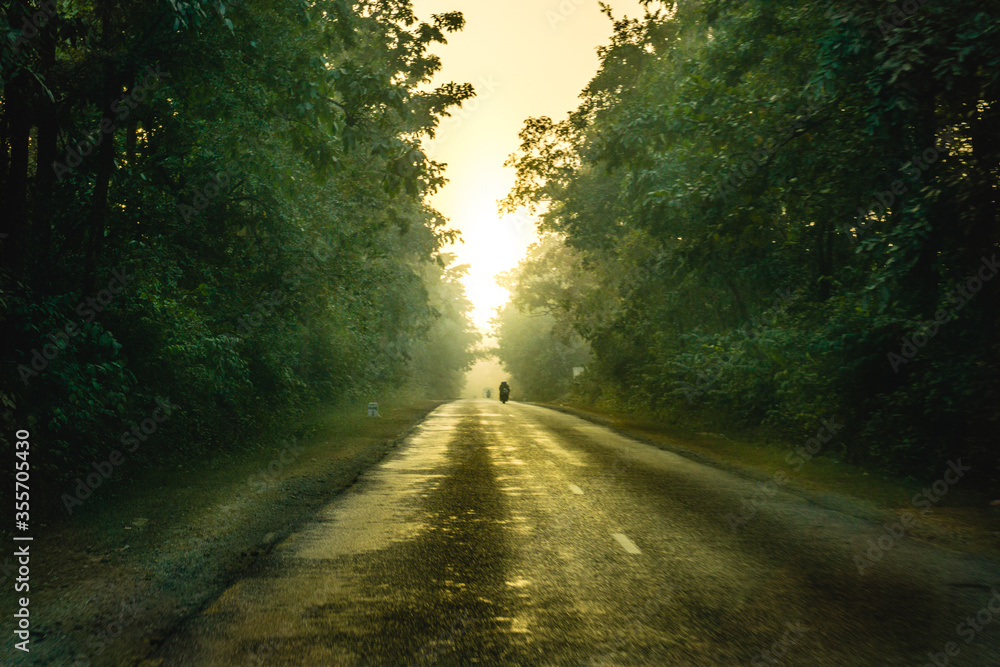 Fototapeta premium A road in Nepal passing through dense forest.