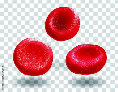 The 3D red blood cell samples are illustrated for educational purposes. vector