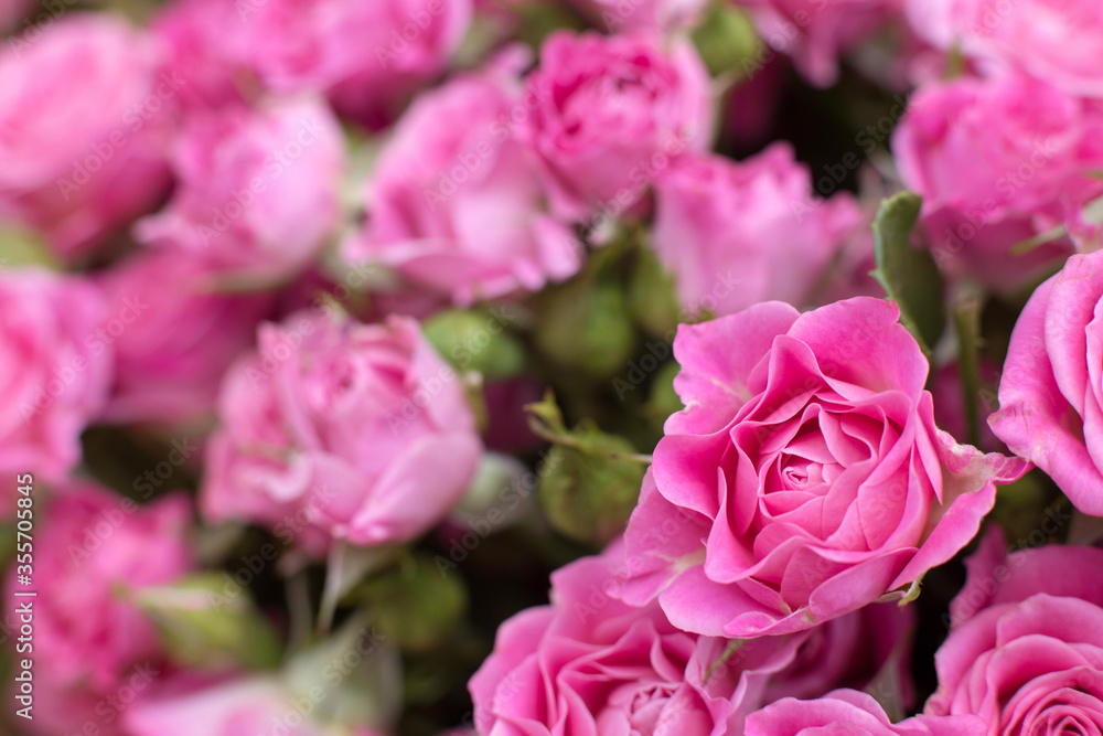 Bouquet of pink roses. Flower background Bouquet of pink roses. Flower background