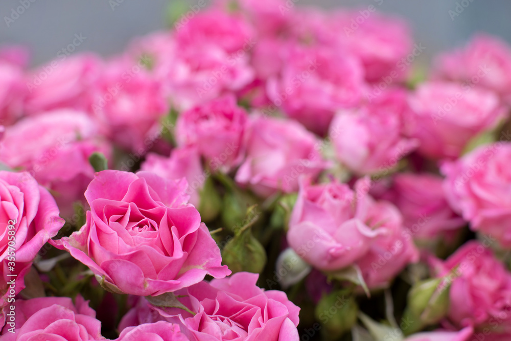 Bouquet of pink little roses close up. Flower wallpaper. Bouquet of pink little roses close up. Flower wallpaper.