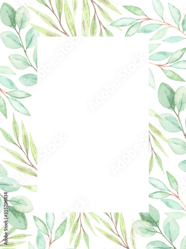 Hand drawn watercolor illustration. Botanical vector spring elements (eucalyptus, fir-tree branches, leaves). Greenery. Floral spring Design elements. Perfect for wedding invitations, cards, prints