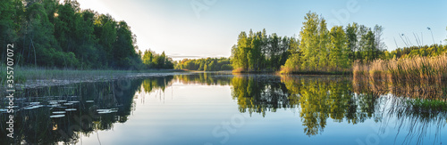 Beautiful forest lake in the evening sunlight. Panorama