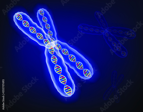 3d structure image, many genetic concepts, X chromosome with dna molecules, vector illustration