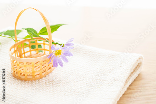 かごとミヤコワスレ