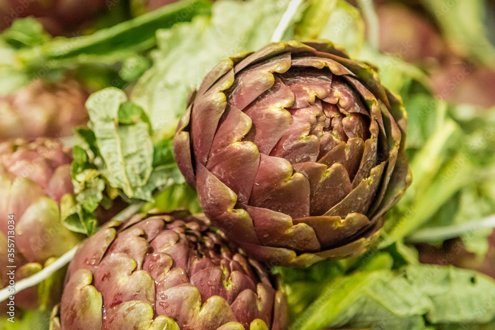 Obraz premium artichokes background