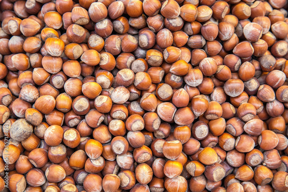 Shelled hazelnuts Shelled hazelnuts