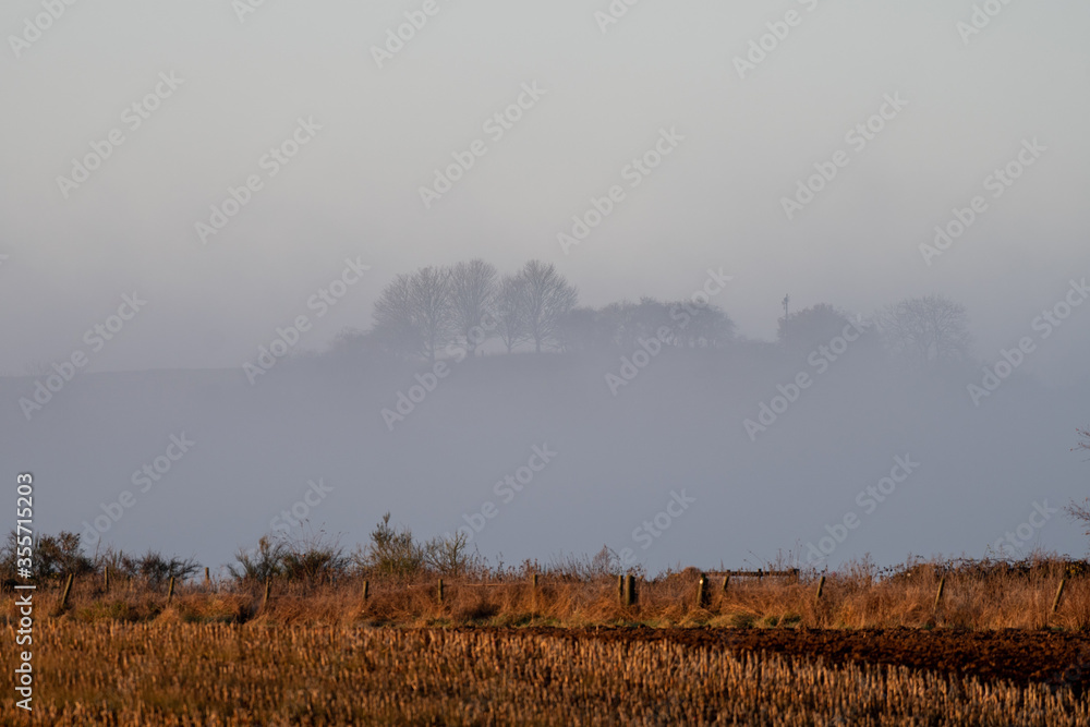 Misty morning with tress on a distant hill