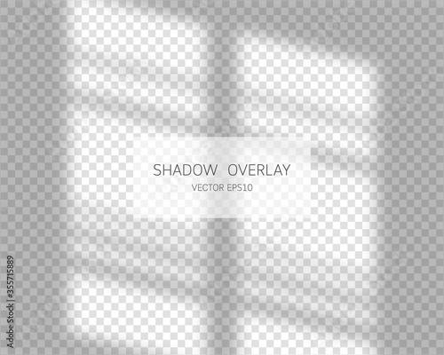 Wallpaper Mural Shadow overlay effect. Natural shadows from window isolated on transparent background. Vector illustration.  Torontodigital.ca