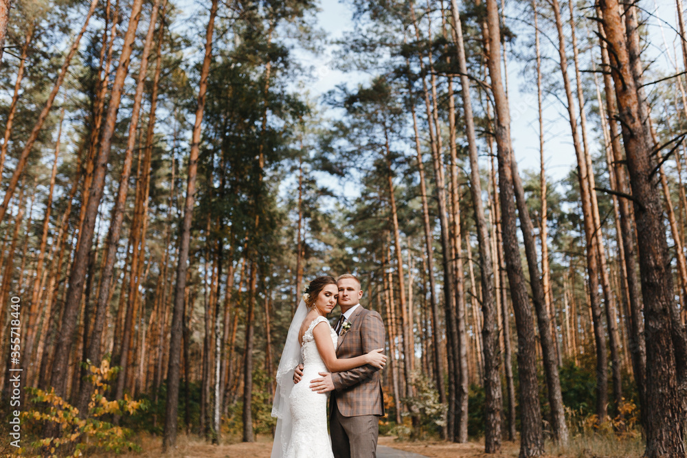 Bride in the wedding dress and groom in the checkered suit at the background of the pines. Bride and groom portrait Bride in the wedding dress and groom in the checkered suit at the background of the pines. Bride and groom portrait
