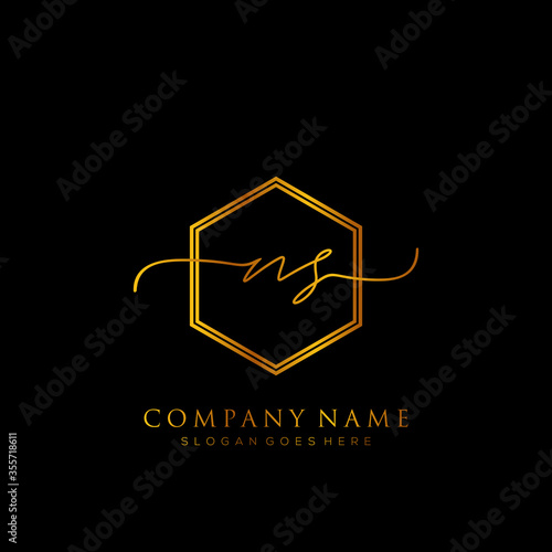 Initial letter NS Signature handwriting Logo Template Vector photo