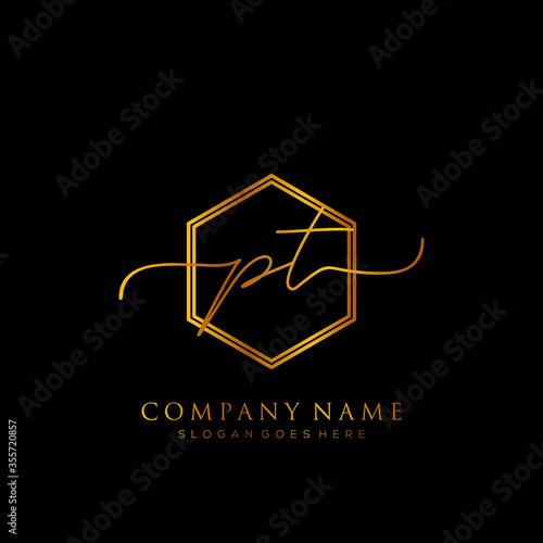 Initial letter PT Signature handwriting Logo Template Vector photo