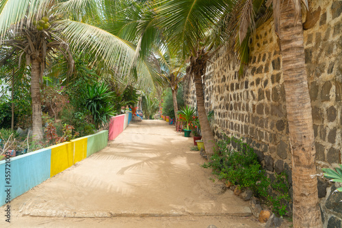 Colorful street of african village on NGor island with black lava stone masonry walls composed of various-shaped rocks and exotic plant