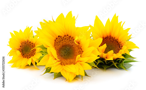 Wallpaper Mural Group of yellow bright beautiful sunflower flowers. Torontodigital.ca