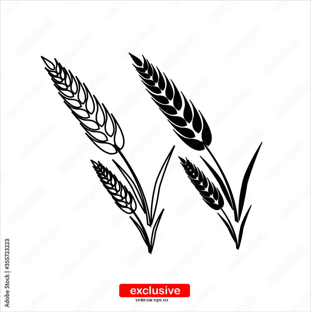 ear of wheat icon.Flat design style vector illustration for graphic and web design. ear of wheat icon.Flat design style vector illustration for graphic and web design.