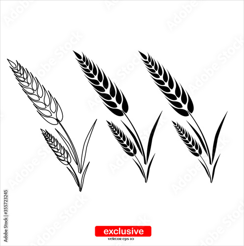 ear of wheat icon.Flat design style vector illustration for graphic and web design.