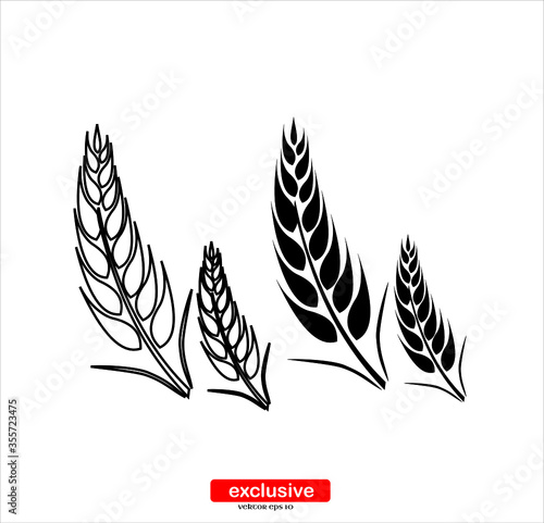 ear of wheat icon.Flat design style vector illustration for graphic and web design.