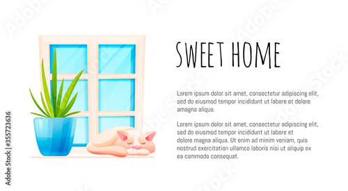 Cosy home concept. Kitten and plant on the window