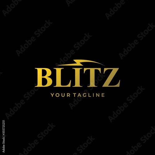 Modern and professional flash logo design