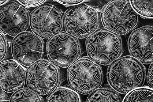 Fototapeta Naklejka Na Ścianę i Meble -  Nasas de pesca