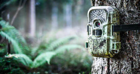 Camera trap or spy photo camera in forest.