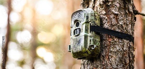 Camera trap or spy photo camera in forest.
