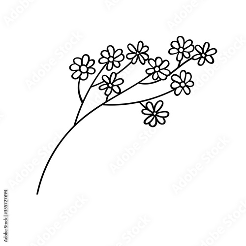 Fototapeta Naklejka Na Ścianę i Meble -  Botanical vector illustration of a chamomile. Ink drawing in Doodle style. Isolated object on a white background. Decorative element for spring and summer design, wedding, vignettes.